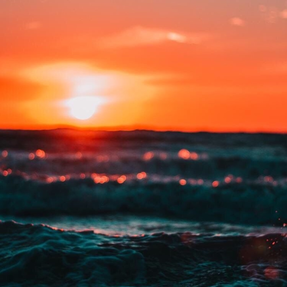 Meet your Posher, Leigha